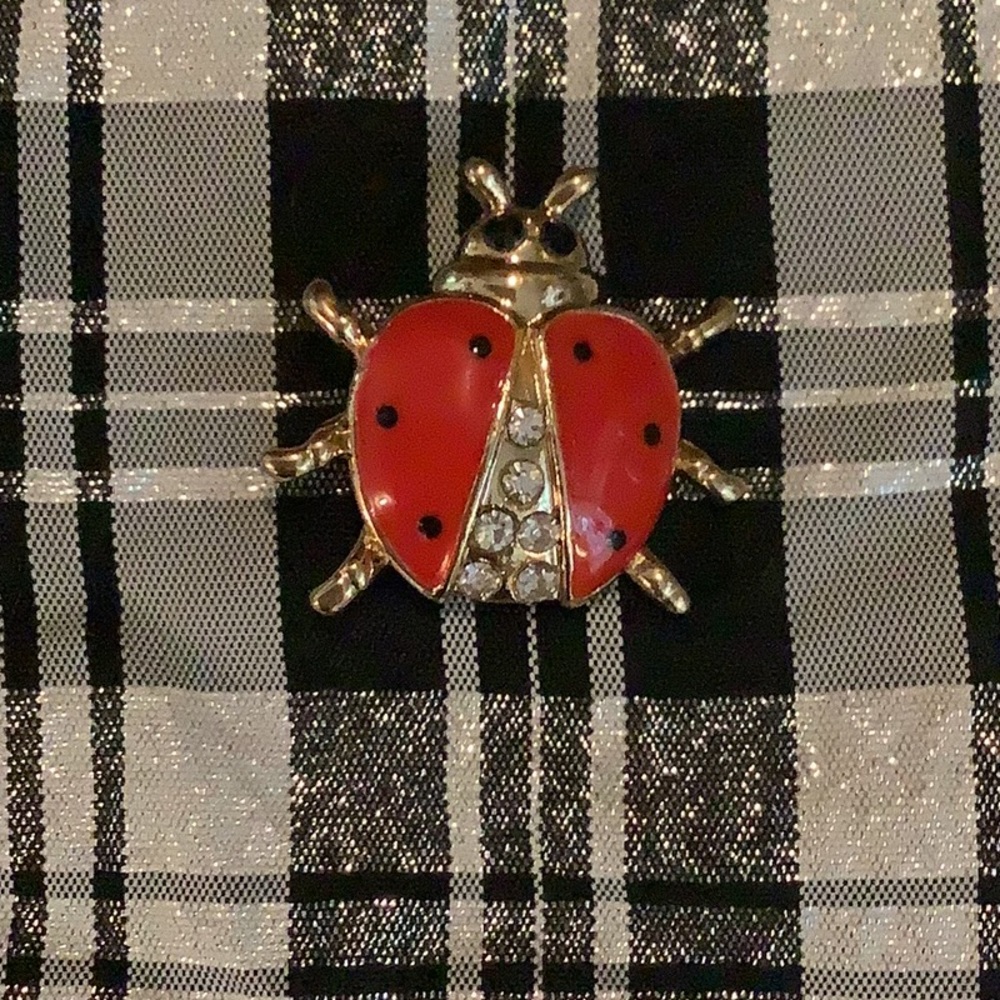 Beetle Bug π Pin. - Picture 3 of 4
